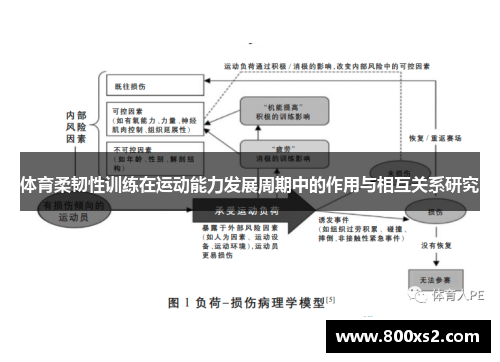 体育柔韧性训练在运动能力发展周期中的作用与相互关系研究